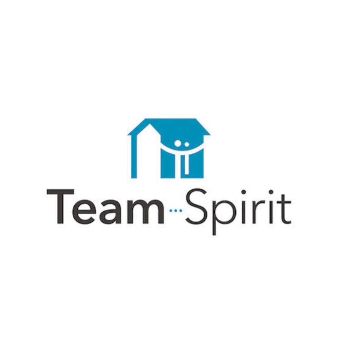 team spirit remote work